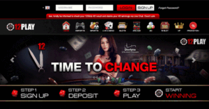 Introduction to 12PLAY