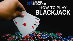 Beginner’s Guide on How to Play Blackjack